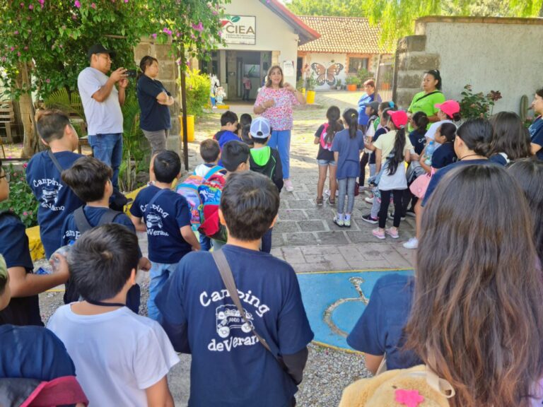 WhatsApp Image 2024-08-12 at 11.52.38