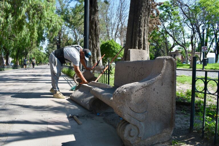 WhatsApp Image 2024-08-13 at 09.59.56