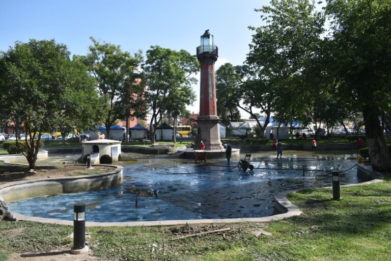 WhatsApp Image 2024-08-13 at 11.24.20