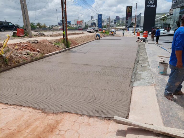 WhatsApp Image 2024-08-13 at 12.47.24