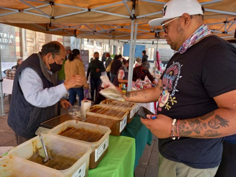 WhatsApp Image 2024-08-13 at 17.37.32