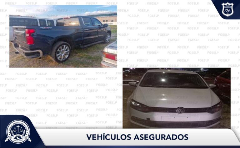 WhatsApp Image 2024-08-14 at 14.49.42