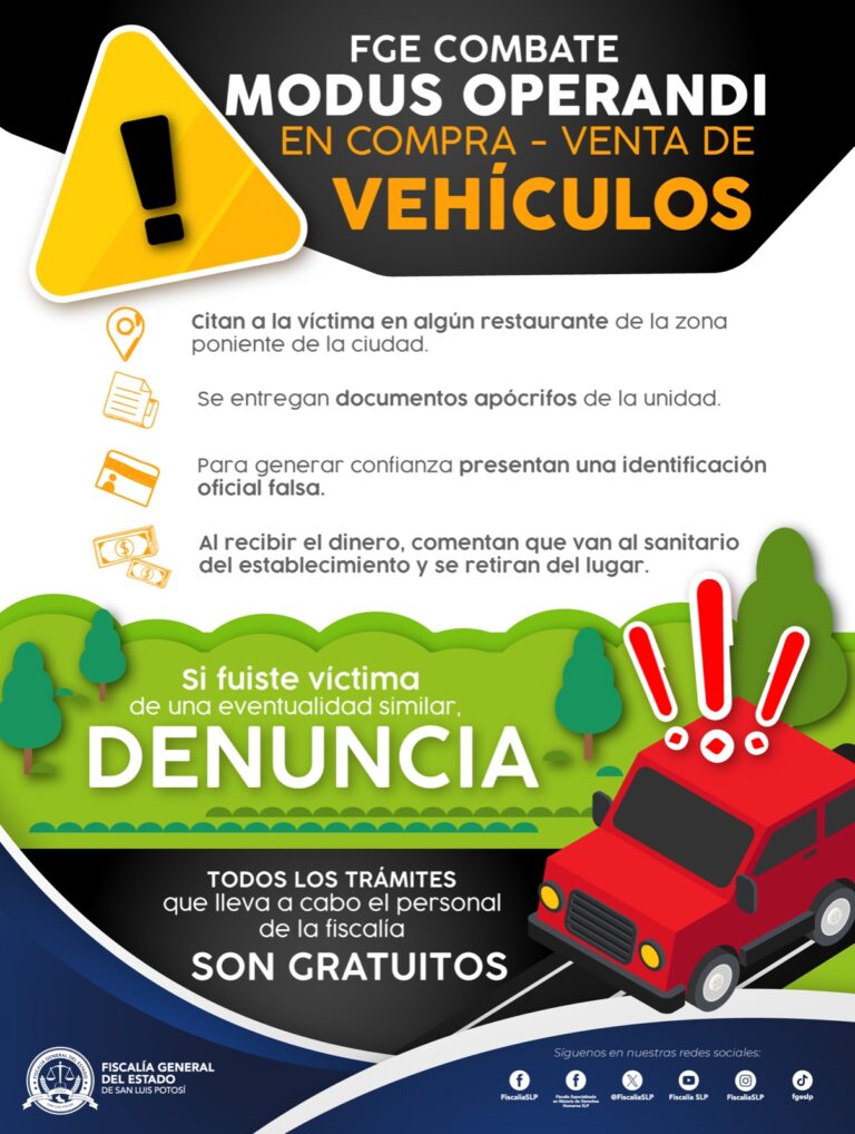 WhatsApp Image 2024-08-14 at 15.26.43 (1)