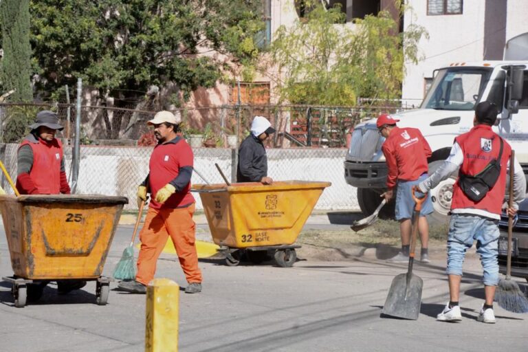 WhatsApp Image 2024-08-15 at 09.46.33