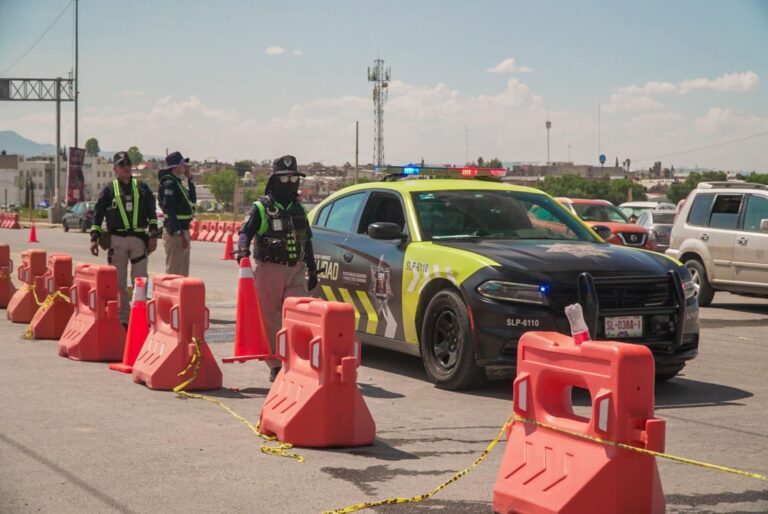 WhatsApp Image 2024-08-15 at 09.47.00