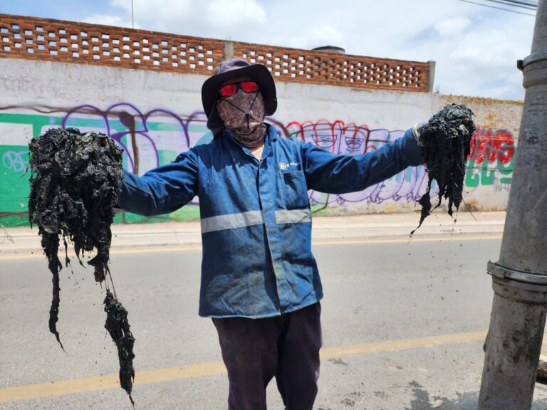 WhatsApp Image 2024-08-15 at 15.42.39