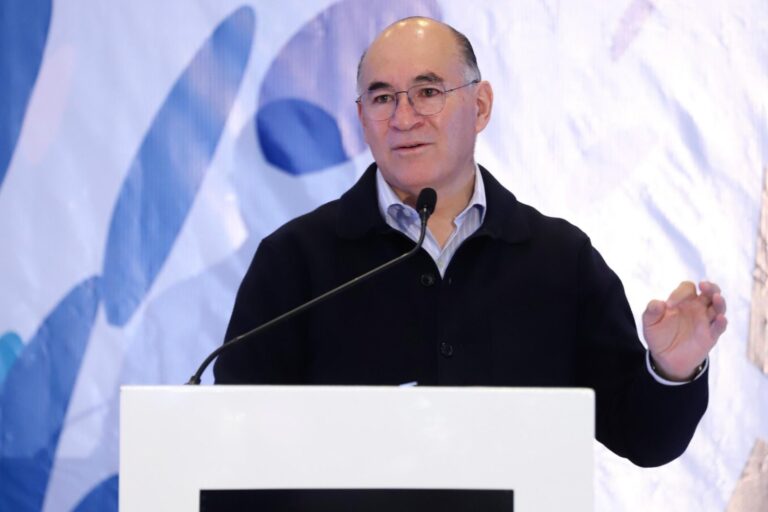 WhatsApp Image 2024-08-19 at 15.38.16