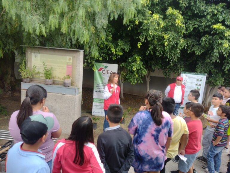 WhatsApp Image 2024-08-20 at 11.42.52