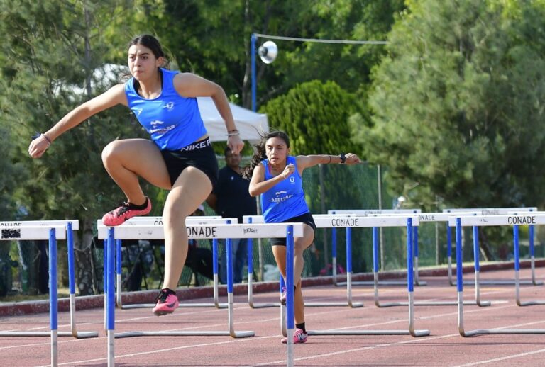 Campo de Pruebas para estudiantes (2)
