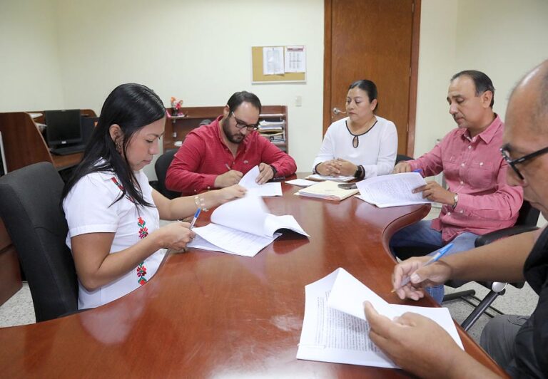 Comisión de Asuntos Indígenas