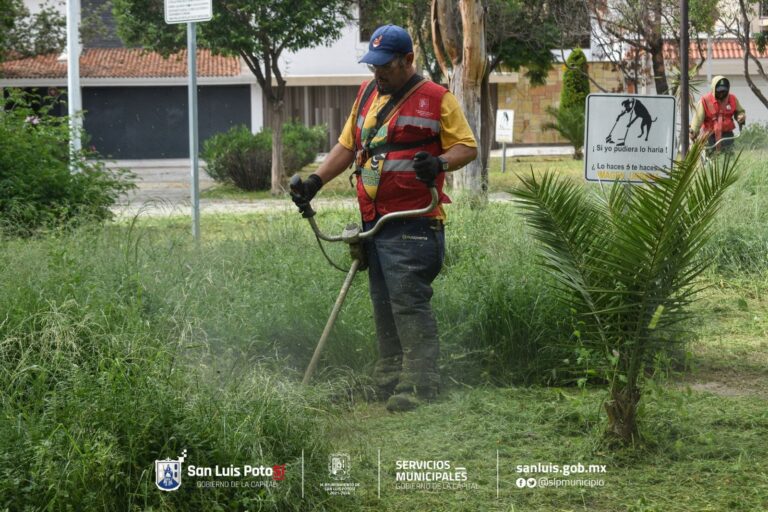 WhatsApp Image 2024-08-26 at 09.31.41