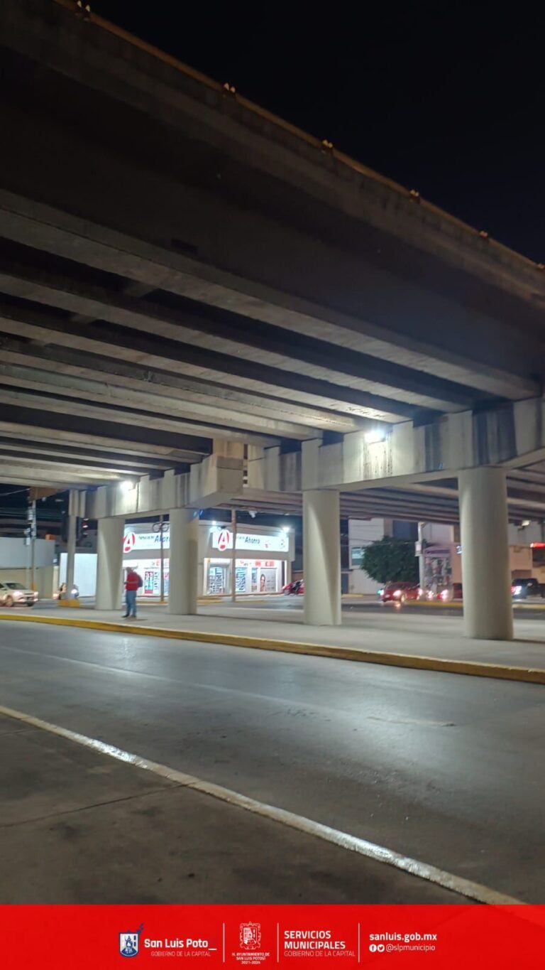 WhatsApp Image 2024-08-26 at 13.03.53