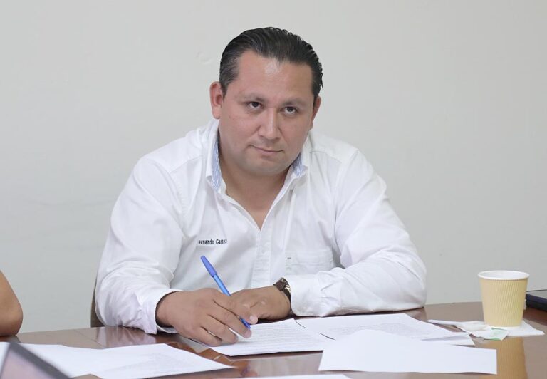 Dip. Luis Fernando Gámez Macías