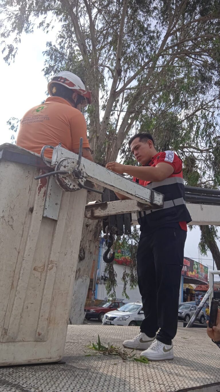 Imagen de WhatsApp 2025-05-17 a las 19.23.09_ae14b7a6