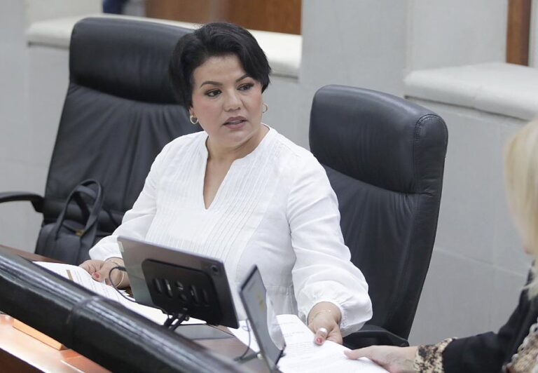 Dip. Mireya Vancini Villanueva