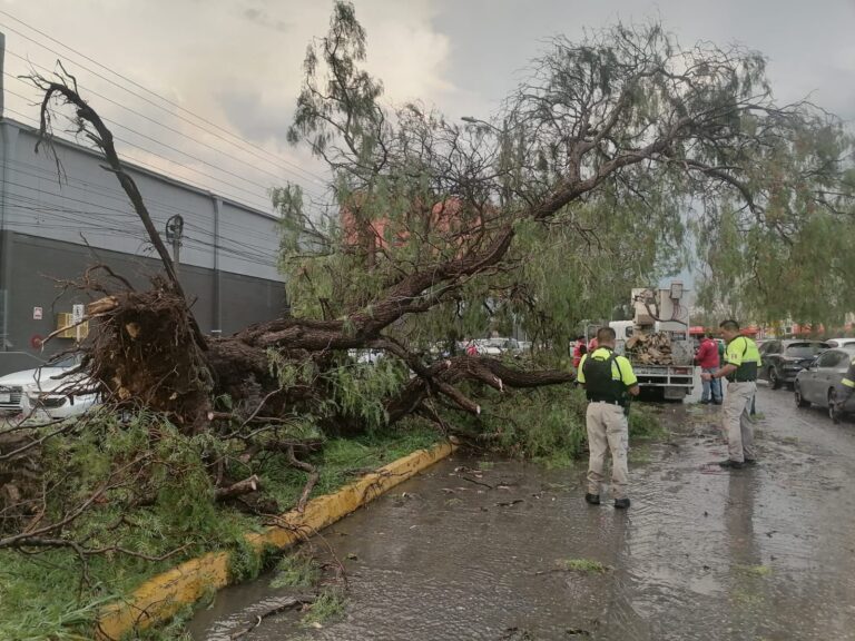 Imagen de WhatsApp 2025-06-03 a las 19.48.58_9714584d