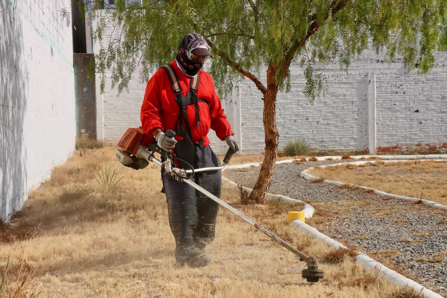 WhatsApp Image 2026-04-15 at 1.01.32 PM