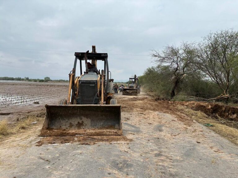 WhatsApp Image 2026-04-19 at 3.53.00 PM